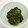 たか☆みほ's cooksnap of when they made 冷凍も乾燥もしない生わかめの簡単保存.
