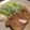 たのたのさんさん's cooksnap of when they made 豚ロースのニンニクステーキ.