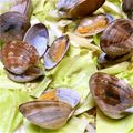 Pleasure19's cooksnap of when they made キャベツとあさりのレンジで白ワイン蒸し.