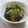 nasubeam's cooksnap of when they made 水菜と豚肉の炒めもの.