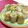 赤い電話's cooksnap of when they made 春の香り☆菜の花の生春巻き（ゴイクン）.