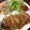 かょチン's cooksnap of when they made こんがりチキンソテーの粒マスタードソース.