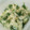 ✼ひなくんまま✼'s cooksnap of when they made 我が家の簡単！ねぎ塩ダレ.