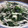 鳥サオ's cooksnap of when they made わさび菜のサラダ.