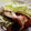 ♡Alicinha♡'s cooksnap of when they made とんかつdeだし茶漬け！.