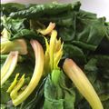 a74212's cooksnap of when they made 赤い茎まで食べよう♪　ホウレン草の茹で方.