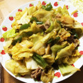 kiyopposan's cooksnap of when they made 野菜が主役！簡単☆回鍋肉☆.