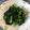 はせまい♡'s cooksnap of when they made ひじきの煮物リメイク ひじきサラダ.