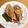 cocoeba's cooksnap of when they made 射込み高野豆腐✿.