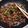 waka01's cooksnap of when they made 甘辛こってり☆旨い豚丼☆.