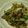 鳩のえさ's cooksnap of when they made あともう一品！！きのこと長ネギの炒め物。.