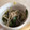 クックOSB55S☆'s cooksnap of when they made 菜の花とエノキの塩麹和え.