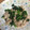 uiro0930's cooksnap of when they made 簡単！ほうれん草と豚肉の炒め.