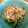 のぉママ's cooksnap of when they made 食べだすとはまる?!クレソンのお浸し.