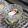 もぇちん's cooksnap of when they made タコの酢の物.