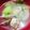 なつあついなつ's cooksnap of when they made あさりと春キャベツの旨味たっぷりスープ.