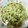 じゅんLRVNY5☆'s cooksnap of when they made 漢方医お勧め薬膳！あわと緑豆の粥.