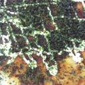 ハクチョー's cooksnap of when they made 余ったうどんをリメイク！とん平焼き風.