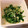 クックBTX28M☆'s cooksnap of when they made ＊簡単おつまみ箸休め　大葉ゴママヨ和え＊.