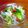 まどれんまま's cooksnap of when they made 胡瓜と白きくらげの酢の物.
