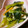 BLooMINs's cooksnap of when they made 煮るだけ常備菜！小松菜と油揚げの煮びたし.