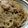 のんちゃんのり弁's cooksnap of when they made れんこんきんぴら風.