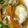 ＊やなぎ＊'s cooksnap of when they made カレイのから揚げ野菜あんかけ.