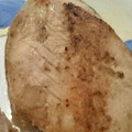 クック瞳's cooksnap of when they made 鮭ときのこのホイル蒸し.