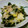 タロクン's cooksnap of when they made 白菜とわかめのくるみ和え.