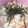 スマイル♡'s cooksnap of when they made 簡単！朝ごはん♡鮭フレークと天かす♡.