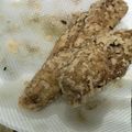 さちひといち's cooksnap of when they made カマスのフリッタ！.