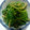 pucyipan's cooksnap of when they made ほうれん草のごまあえ.