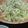 むーこた's cooksnap of when they made 簡単 キャベツサラダ.