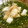 のん姫７'s cooksnap of when they made めかぶと角切り大根の和え物.