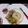 lechecara's cooksnap of when they made 単身者必見！炊飯器で簡単♪ 海南鶏飯.