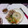 lechecara's cooksnap of when they made 単身者必見！炊飯器で簡単♪ 海南鶏飯.
