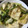 ポメちょん's cooksnap of when they made 豆腐とわけぎの炒め物.