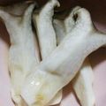 ma___111's cooksnap of when they made 簡単！！エリンギ炒めのポン酢かけ.