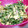 みぃこm's cooksnap of when they made 炒り卵とほうれん草のツナマヨサラダ.