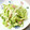 なおころピッコロ's cooksnap of when they made アミエビとキャベツ炒め.