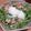 クック4SRKD0☆'s cooksnap of when they made 満足120%！ベーコン温玉のおかずサラダ.