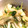 ゆぅぅももも's cooksnap of when they made 長いもとオクラと貝割れの和え物.