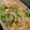 anchan0729's cooksnap of when they made 空豆のクリームパスタ.