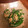 RYK1205's cooksnap of when they made スナップエンドウのマヨおかか和え.