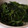 さきひなすみのママ's cooksnap of when they made ほうれん草とピーマンの胡麻和え.