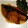 『ゆきりん』's cooksnap of when they made 夕食に 簡単 絶品！ 鰤の 煮付け＊゜.