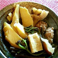うmi's cooksnap of when they made [簡単]蕨と筍と鶏肉の煮物.