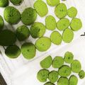kyokakyoka's cooksnap of when they made 抹茶クッキー(ディアマン).
