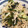 リラシャン's cooksnap of when they made 切り干し大根と削り節の箸休め.