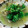 はまらー's cooksnap of when they made うちの定番 スープたっぷりあさりの酒蒸し.